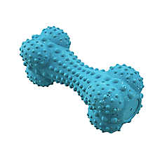 ARLEE Max Fusion with Nike Grind, Pulse Bone Dog Toy