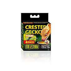 Exo Terra? Crested Gecko Food Cup - Crested Gecko Feeding Cup - 4 cups