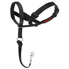 Halti? Training Dog Head Collar