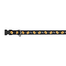 Thrills & Chills&trade; Halloween Pumpkin Dog Collar