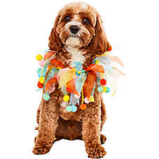 Rubie's Pet Shop Birthday Pom Party Dog Collar