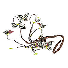 Thrive Tropical Climbing Vine - Climbing Terrarium Decor