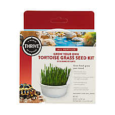 Thrive? Grow Your Own Oat Grass Seed Kit - Reptile Food Seed Kit