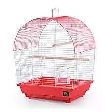 Prevue Pet Products South Beach Dome Top Pet Bird Cage Coral for Small Birds