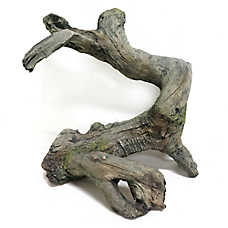 Thrive Driftwood Reptile Decor - Terrarium Decor