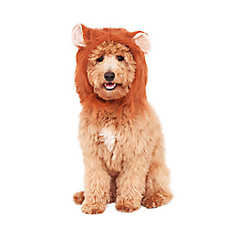 Rubie's Pet Shop Halloween Lion Mane Dog Costume