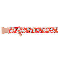 Top Paw? Strawberry Dog Collar, Red Dog Collar, Comfortable, Adjustable, Neoprene, Multiple Sizes