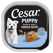 Cesar? Puppy Wet Dog Food - Chicken 3.5 oz