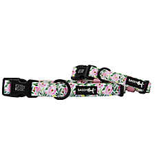 Sassy Woof Magnolia Dog Collar
