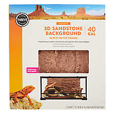 Thrive Desert 3D Sandstone Background - Terrarium Background - 40 Gal
