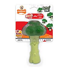 Nylabone? Power Chew Broccoli "Brocc' On!"  Dog Toy, Bacon & Cheese Flavor