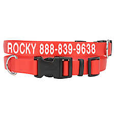 Coastal Pet Products Personalized Tough Dog Collar