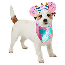 Rubie's Pet Shop Mickey Mouse Birthday Pet Accessory