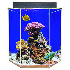 Clear-For-Life 55 Gallon Hexagon Aquarium Acrylic Fish Tank