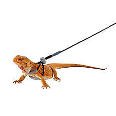Thrive Beardie Harness - Bearded Dragon Reptile Harness