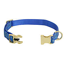 Top Paw? Blue Floral Dog Collar, Blue Dog Collar, Adjustable, Multiple Sizes
