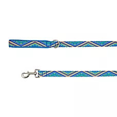 Top Paw庐 Blue Retro Stripe Dog Leash, Blue Dog Leash, Walking Dog Leash, 4' Long