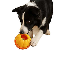PawsPik 2-In-1 Rolling Treat Dispenser & Frozen Lick Enrichment Dog Toy