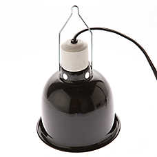 Zoo Med Reptile Mini Deep Dome Lamp for Heat & UVB Bulbs