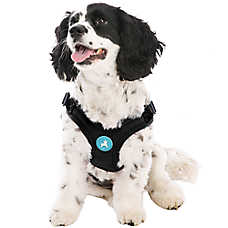 Gooby Escape Free Sports Dog Harness