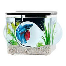 Top Fin? Magnified Aquarium - 3 Gallon