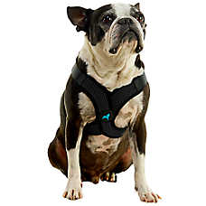 Gooby Comfort X Step In Lite Dog Harness
