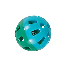 All Living Things® Rattle Ball Bird Toy - Exercise Foot Toy for Pet Birds
