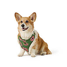 Top Paw? Green Floral Adjustable Comfort Dog Harness