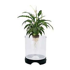 Penn-Plax? Aqua-Ponic Aquarium Fish Tank Kit