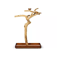 Prevue Pet Products Coffeawood Java Tree Large Floor Playstand - Floor Pet Bird Playstand