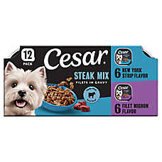 Cesar? Filets in Gravy Adult Wet Dog Food Variety Pack - Filet Mignon & New York Strip, 12 Count