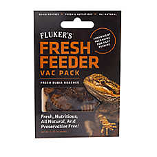 Fluker's? Fresh Feeder Vac Pack Dubia Roaches - Reptile Feeder Insects