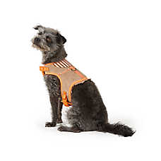 Thrills & Chills&trade; Halloween Cowboy Dog Costume Harness