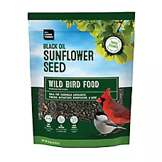 All Living Things® Black Oil Sunflower Seeds for Cardinals & Songbirds - 10lb