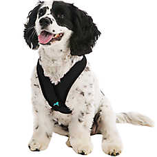 Gooby Comfort X Head In Dog Harness