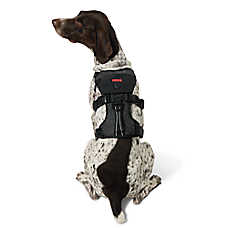 Kong? Safety Adjustable Dog Harness