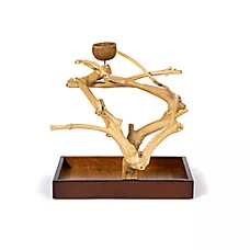 Prevue Pet Products Coffeawood Java Tree Minis Small Table Top Playstand for Pet Birds