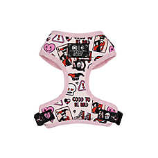 Sassy Woof Harley Quinn Dog Harness