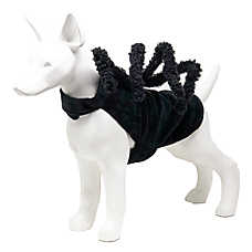 Pet Life Halloween Creepy Webs Spider Dog & Cat Costume