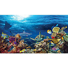 Top Fin? Sunlight & Coral Reef Forest Reversible Aquarium Background - 18x36 in