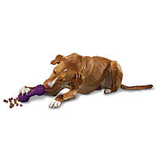 PetSafe? Busy Buddy? Chuckle Treat Dispensing Dog Toy