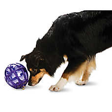 PetSafe? Busy Buddy? Kibble Nibble Dog Toy