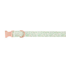 Top Paw? Green Leaves Dog Collar, Green & White Dog Collar, Adjustable, Neoprene, Multiple Sizes