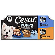 Cesar? Puppy Wet Dog Food - Chicken & Beef 12 Variety Pack 12 ct