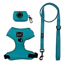 Sassy Woof Neon Dog Harness, Leash and Waste Bag Holder Bundle