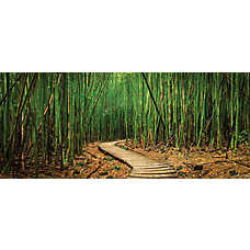 Top Fin? Trail & Bamboo Forest Reversible Aquarium Background - Fish Tank Background - 12x24 in