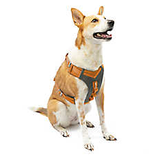 Kurgo? Journey Air Dog Harness