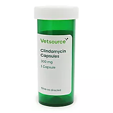 Clindamycin Hydrochloride Capsule for Dogs & Cats - 150 mg, 300 mg - Single Capsule