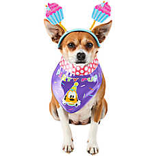 Rubie's Pet Shop Birthday Mickey Mouse Party Pup Pet Accessory