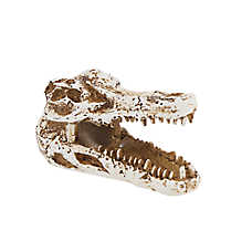 Thrive? Crocodile Terrarium D��cor - Terrarium Decor